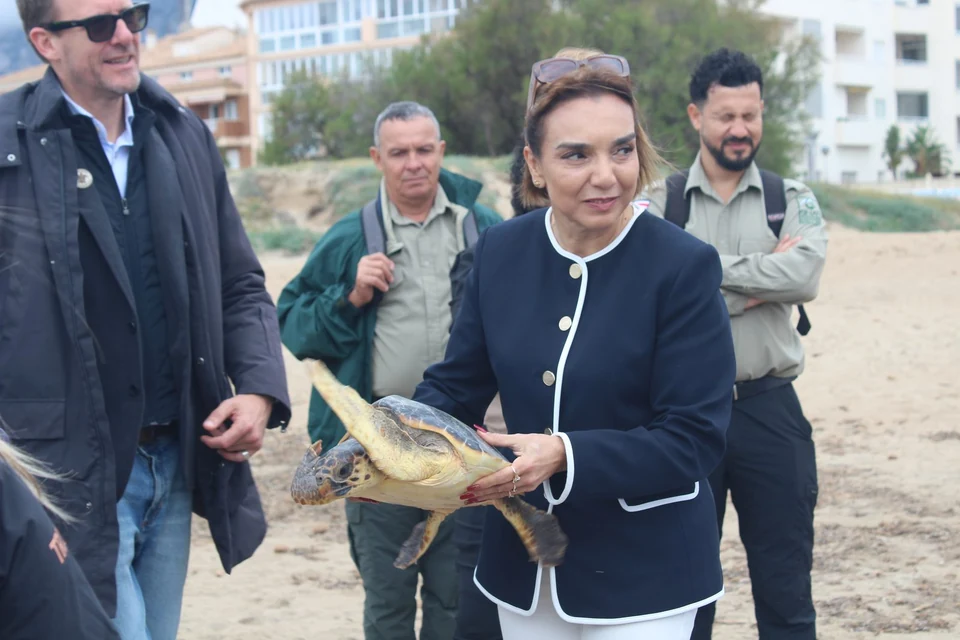 Alianza Tortuga: first institutional corridor between Spain and Costa Rica for sea turtle protection