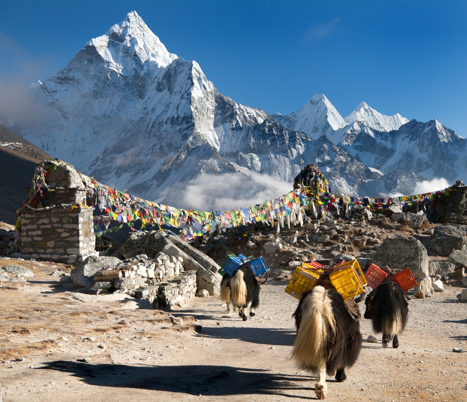 Snow and ice in the Hindu Kush Himalaya are rapidly disappearing (ICIMOD)